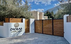 Diosas Luxury Villas